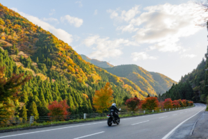 Motorcycle driving on a highway in front of fall leaves