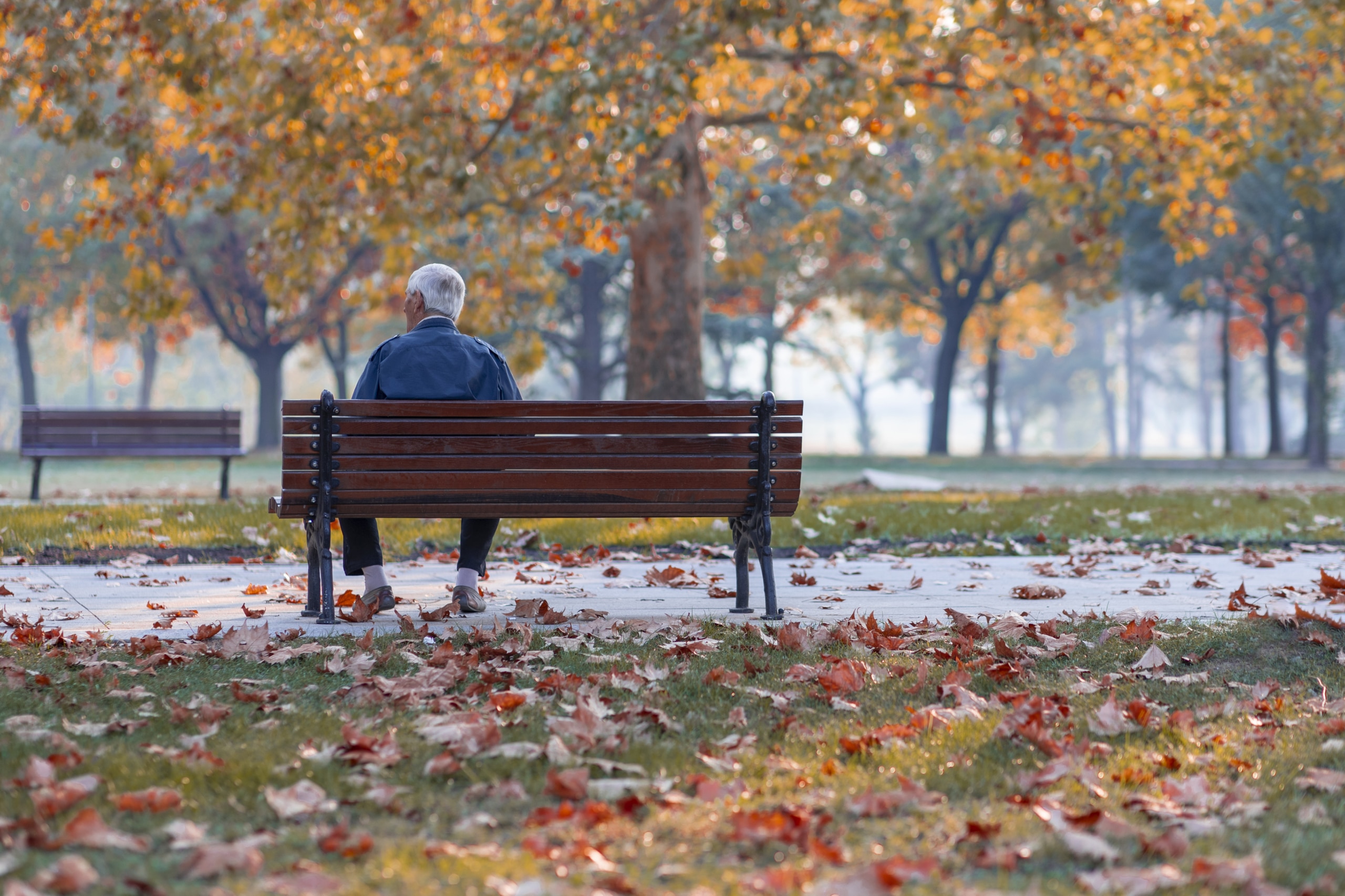 elopement in nursing homes
