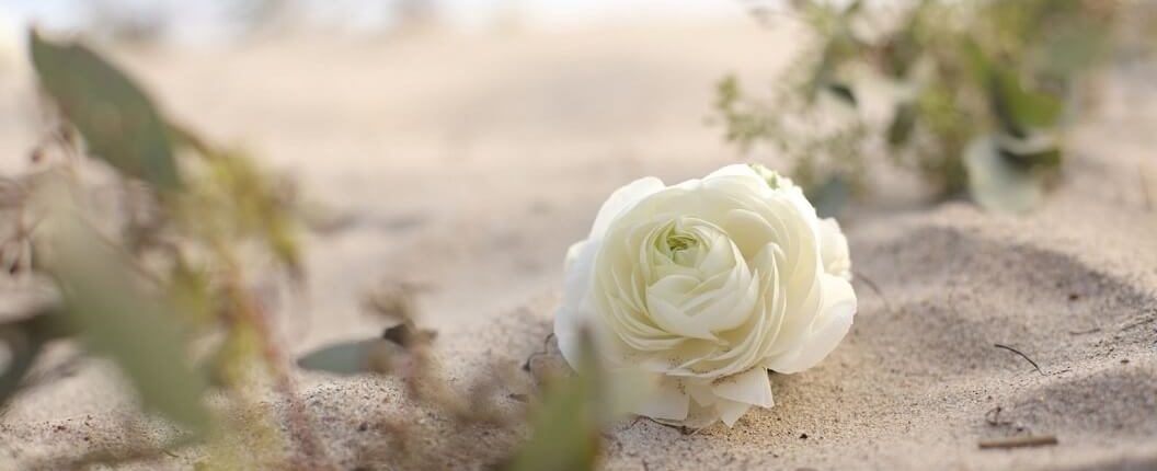 west palm beach wrongful death attorney