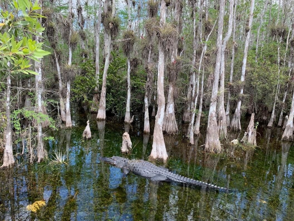 can I sue the state of florida everglades