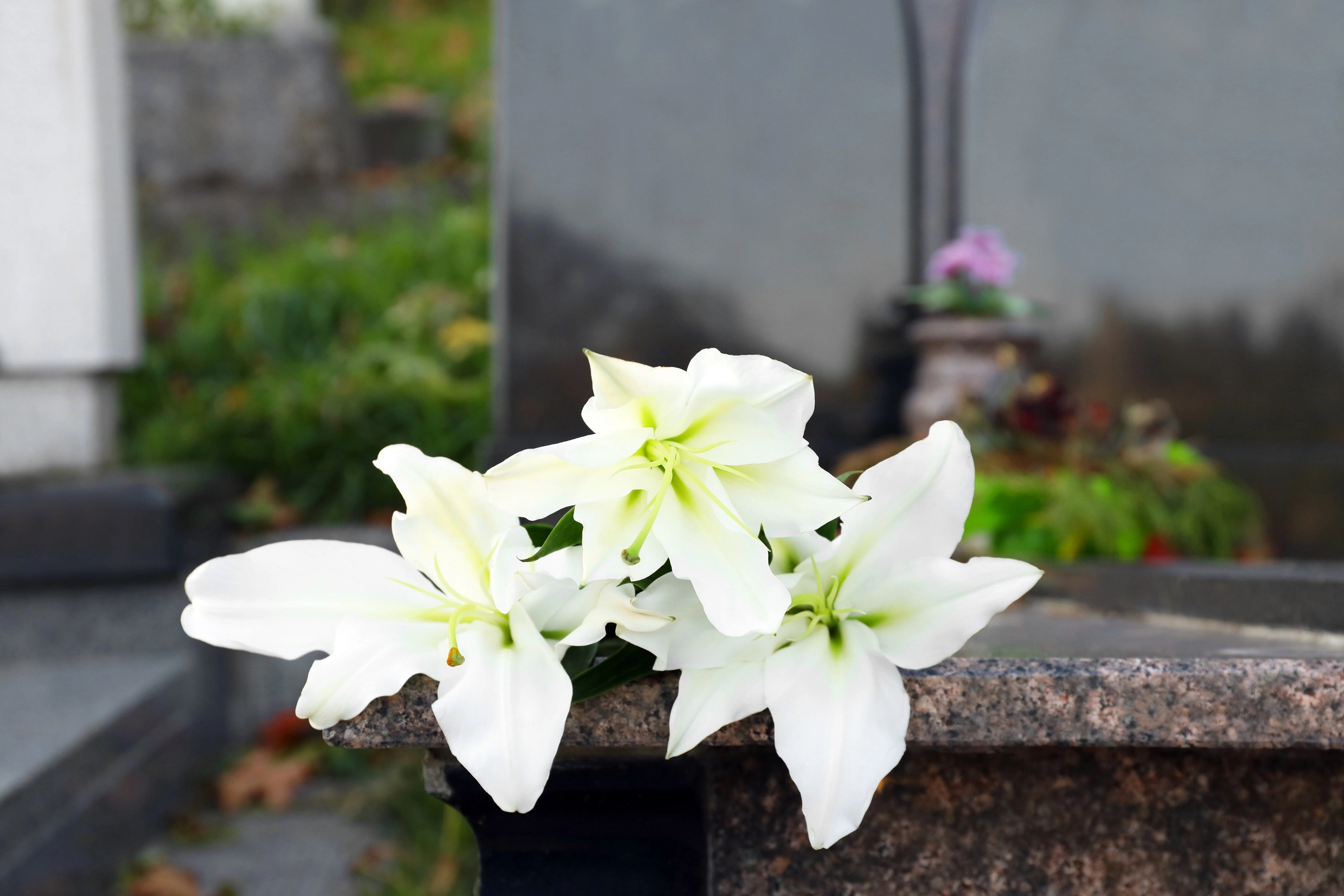 melbourne wrongful death attorney
