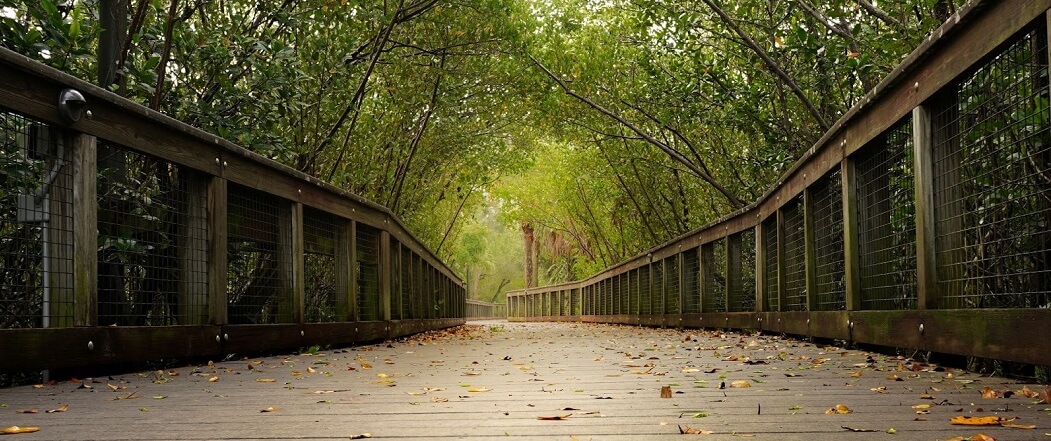 port st lucie slip and fall lawyers