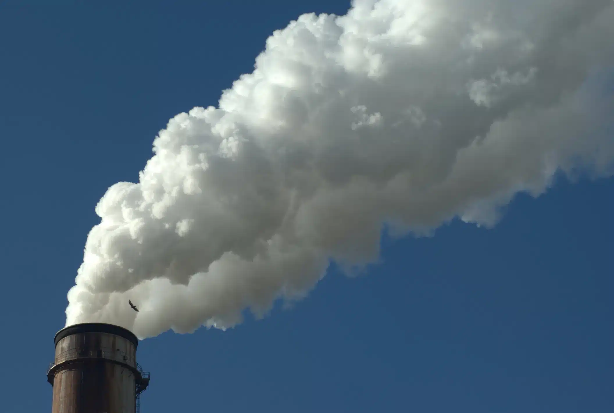 what is a cancer cluster