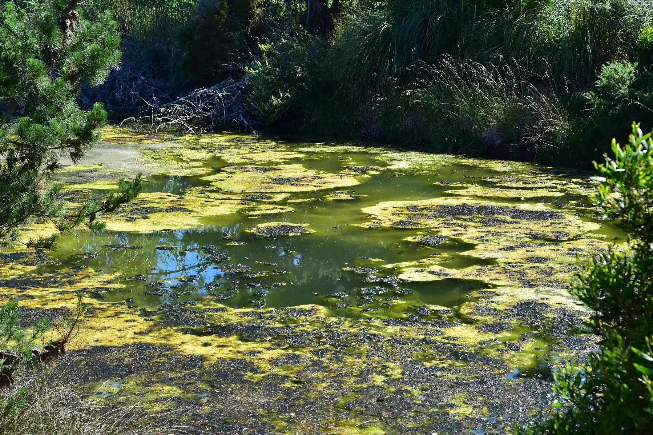 prevention of waterborne diseases